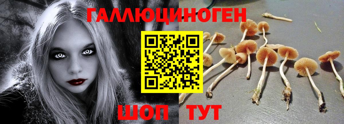 Псилоцибиновые грибы Magic Shrooms  Вход с VPN  Сафоново 